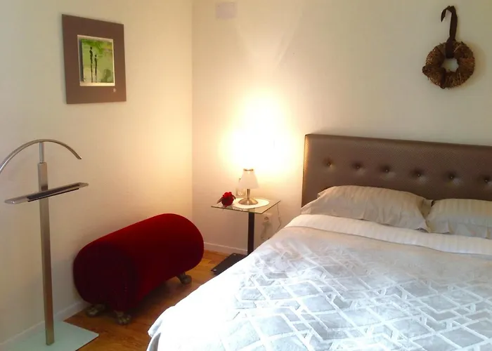 Les Myosotis Chambres D\'Hotes - Sarreguemines