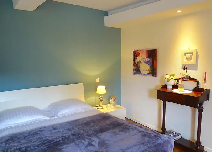 Les Myosotis Chambres D\'Hotes - Sarreguemines
